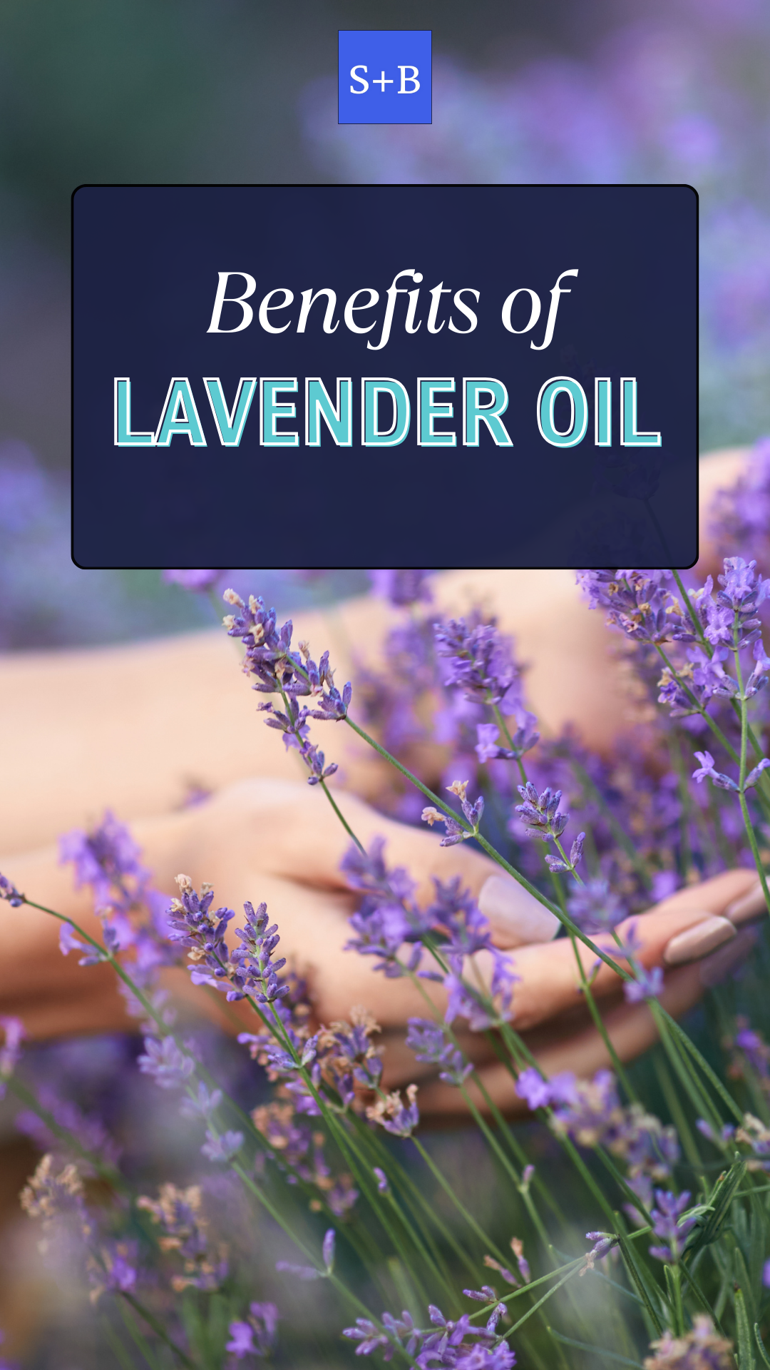 Benefits of Lavender