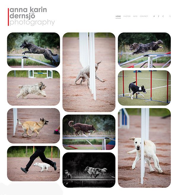 Anna — witryna Pet Photographer zbudowana na pixpa