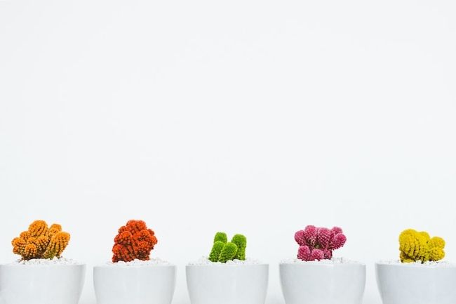 Understanding the 7 Principles of Design